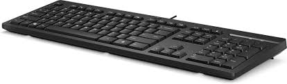 HP 125 wired keyboard (Gebruikt)