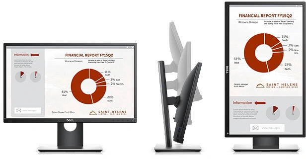 Dell Professional P2217H 22 inch - B-Grade
